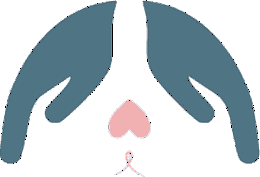 毛安住